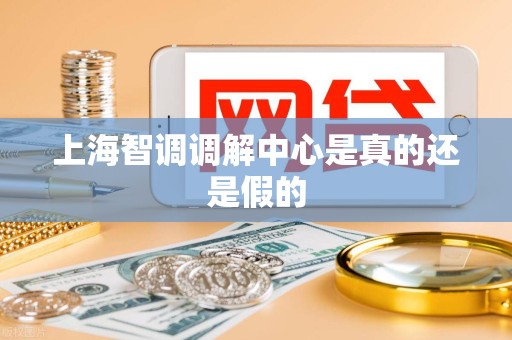 上海智调调解中心是真的还是假的