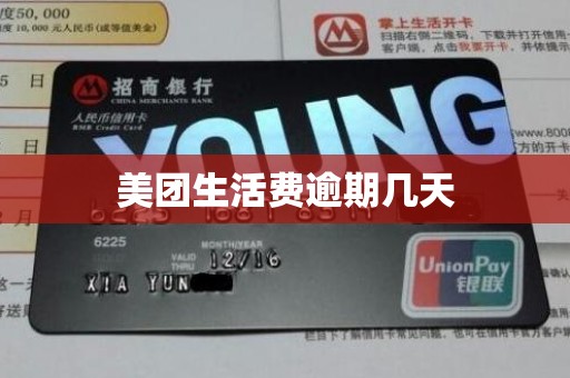 美团生活费逾期几天