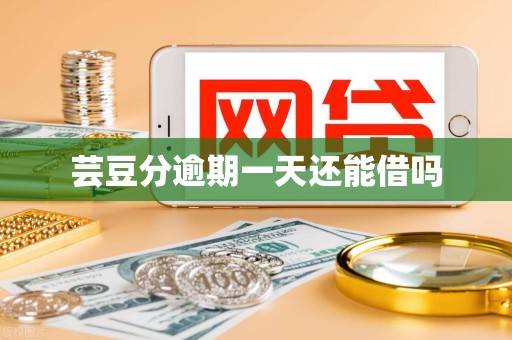 芸豆分逾期一天还能借吗