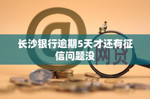 长沙银行逾期5天才还有征信问题没