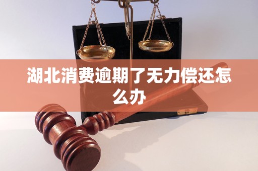 湖北消费逾期了无力偿还怎么办