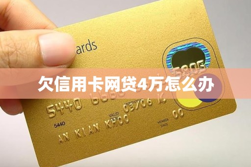 欠信用卡网贷4万怎么办