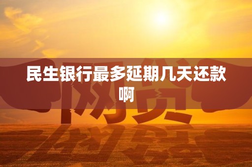 民生银行最多延期几天还款啊