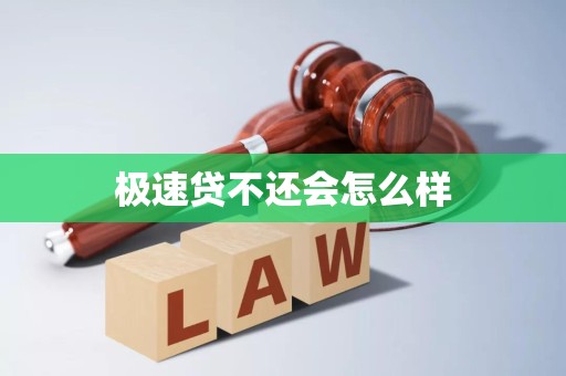 极速贷不还会怎么样