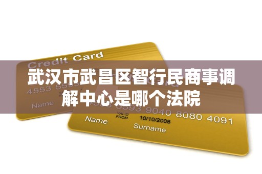 武汉市武昌区智行民商事调解中心是哪个法院