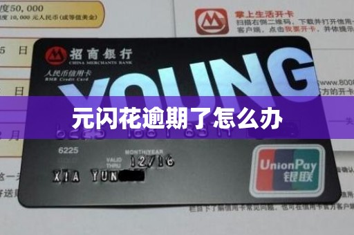 元闪花逾期了怎么办