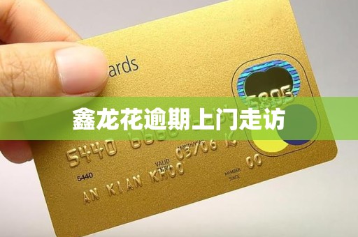鑫龙花逾期上门走访