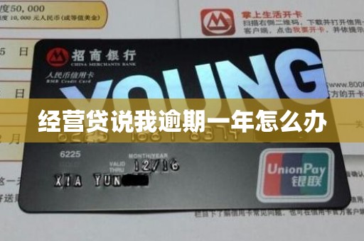 经营贷说我逾期一年怎么办