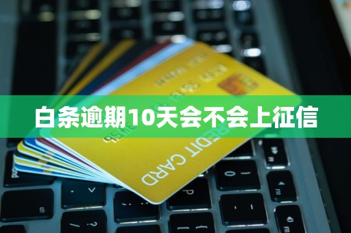 白条逾期10天会不会上征信