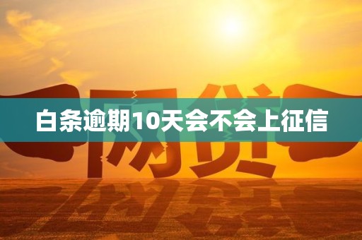 白条逾期10天会不会上征信
