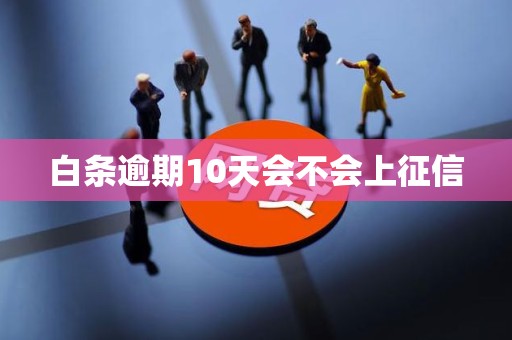 白条逾期10天会不会上征信