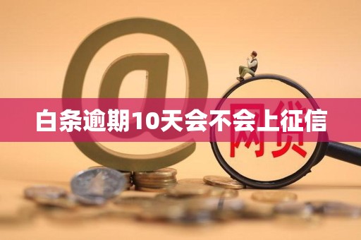 白条逾期10天会不会上征信