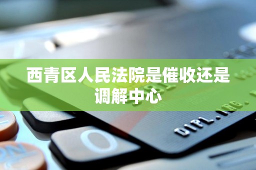 西青区人民法院是催收还是调解中心