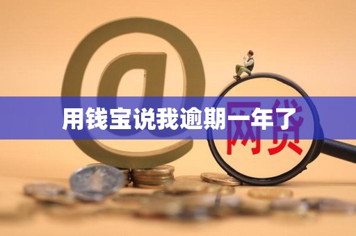 用钱宝说我逾期一年了