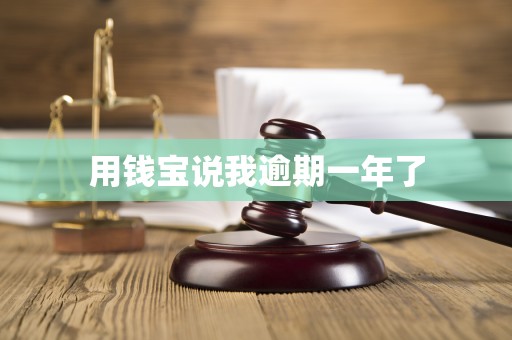 用钱宝说我逾期一年了