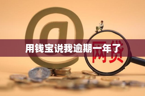 用钱宝说我逾期一年了