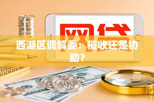 西湖区调解委:催收还是协助?