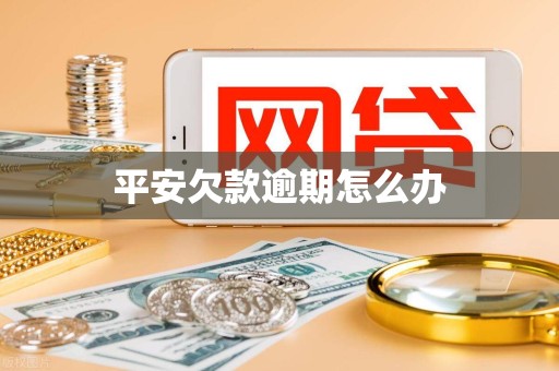 平安欠款逾期怎么办