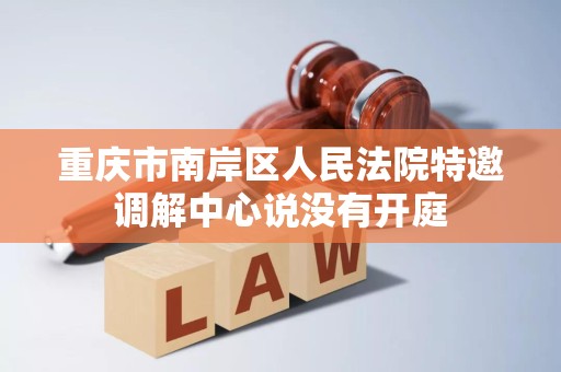 重庆市南岸区人民法院特邀调解中心说没有开庭