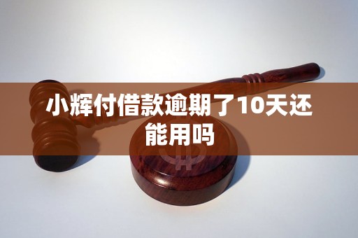 小辉付借款逾期了10天还能用吗