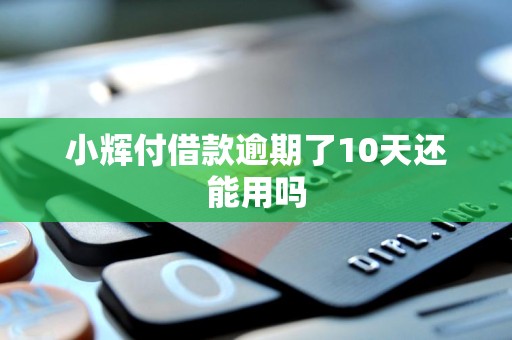 小辉付借款逾期了10天还能用吗