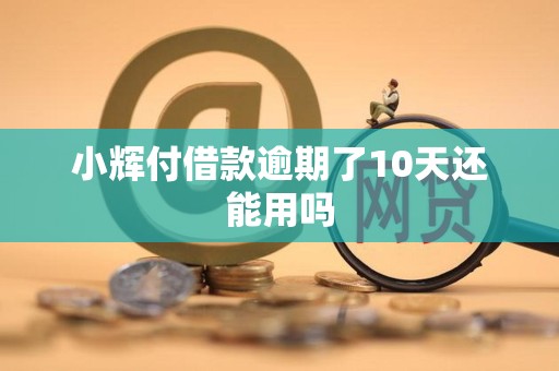 小辉付借款逾期了10天还能用吗