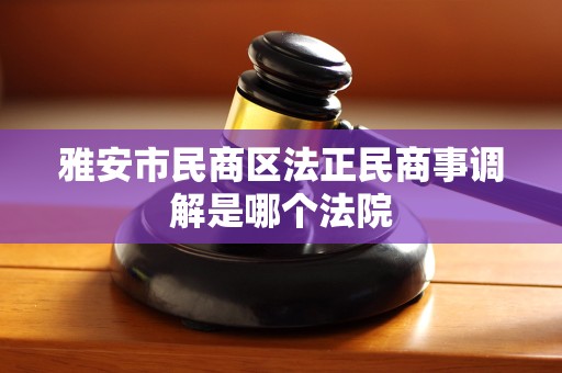 雅安市民商区法正民商事调解是哪个法院