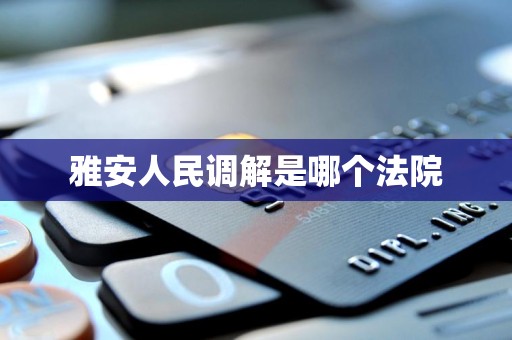 雅安人民调解是哪个法院
