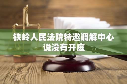 铁岭人民法院特邀调解中心说没有开庭