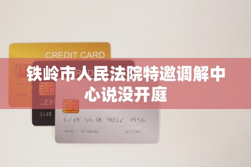 铁岭市人民法院特邀调解中心说没开庭