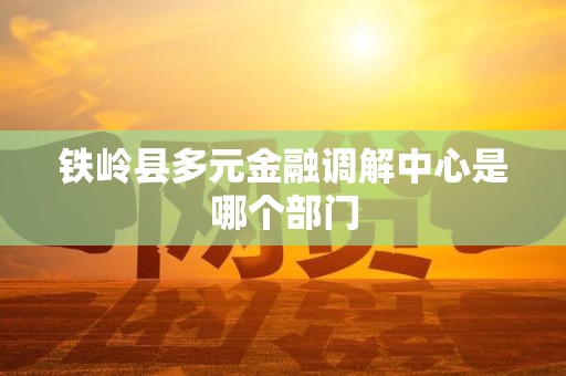 铁岭县多元金融调解中心是哪个部门