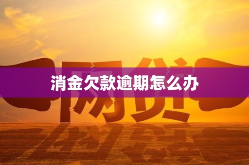 消金欠款逾期怎么办