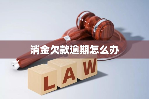 消金欠款逾期怎么办