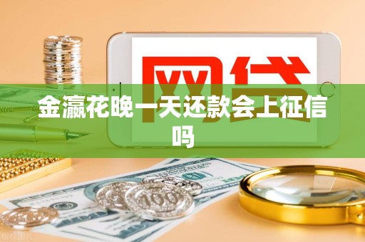 金瀛花晚一天还款会上征信吗