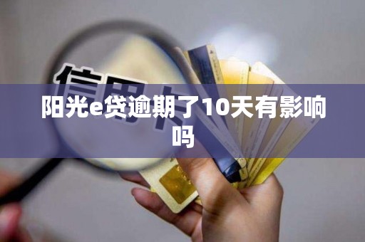 阳光e贷逾期了10天有影响吗