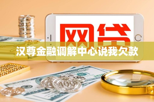 汉尊金融调解中心说我欠款