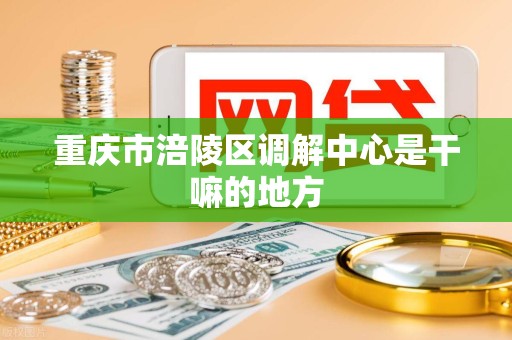 重庆市涪陵区调解中心是干嘛的地方