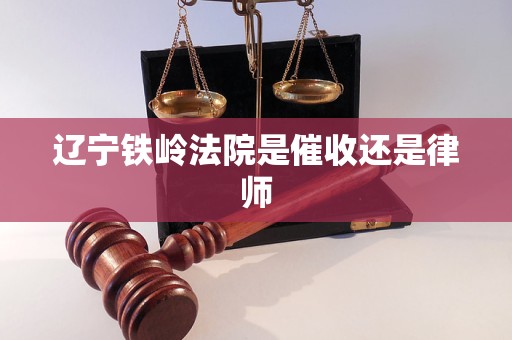 辽宁铁岭法院是催收还是律师
