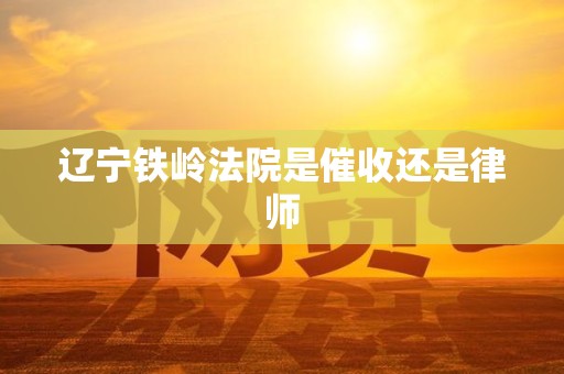 辽宁铁岭法院是催收还是律师