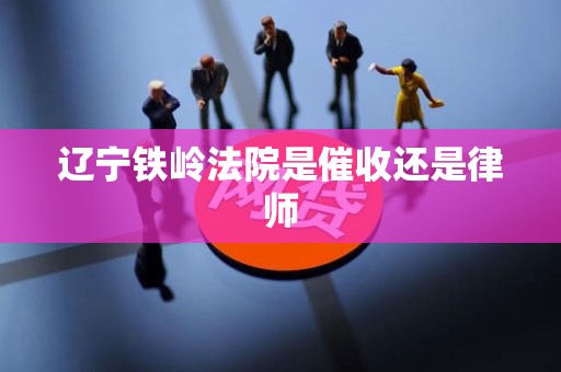 辽宁铁岭法院是催收还是律师