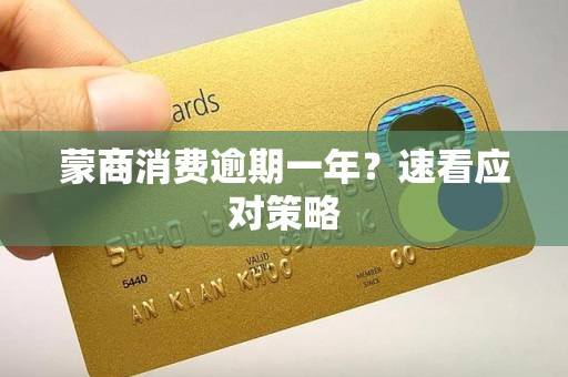 蒙商消费逾期一年？速看应对策略