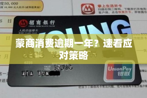蒙商消费逾期一年?速看应对策略