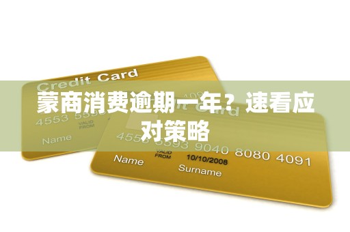 蒙商消费逾期一年?速看应对策略