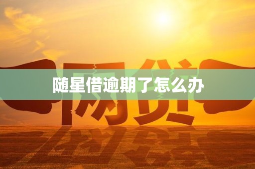 随星借逾期了怎么办