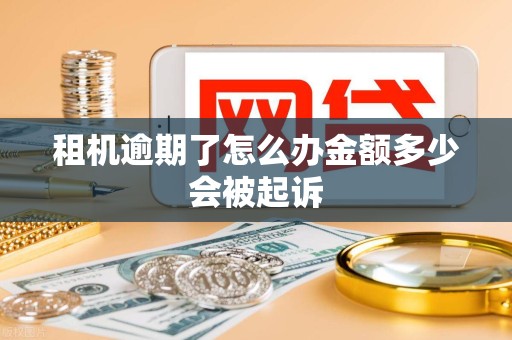 租机逾期了怎么办金额多少会被起诉