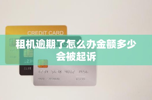 租机逾期了怎么办金额多少会被起诉