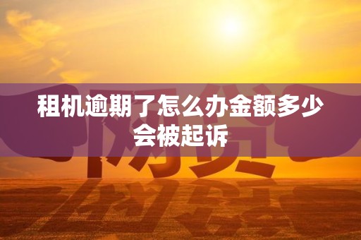 租机逾期了怎么办金额多少会被起诉