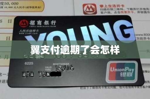 翼支付逾期了会怎样