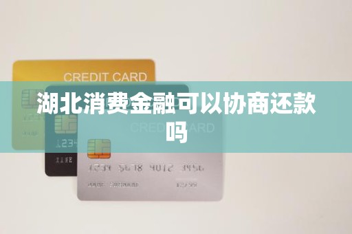 湖北消费金融可以协商还款吗