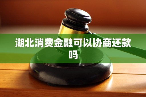 湖北消费金融可以协商还款吗